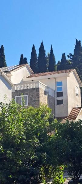 Apartment Stasa